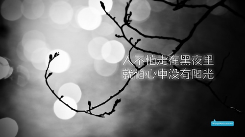 舞動中原馨蕾廣場舞 次真拉姆 附分解教學和背面演示